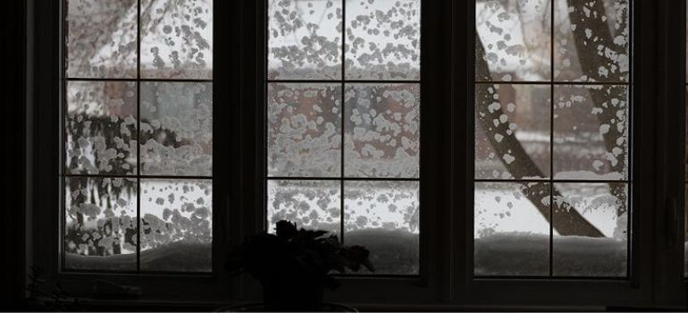 Storm Windows Vs Impact Windows Ultimate Protection Guide