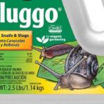 Unveiling the Battle: Sluggo vs Sluggo Plus