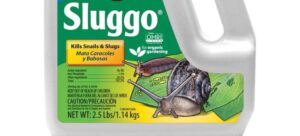 Read more about the article Unveiling the Battle: Sluggo vs Sluggo Plus