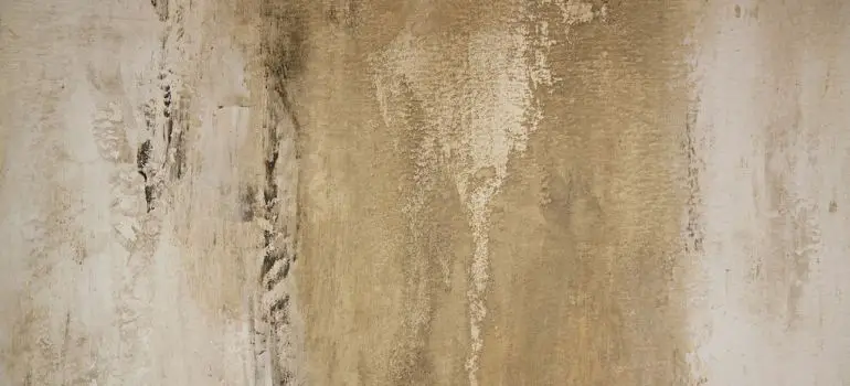 How to Match Stucco Texture A Comprehensive Guide