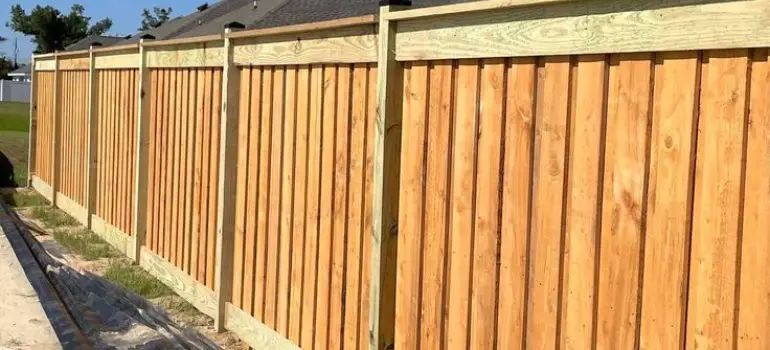 Maintaining Your Fence