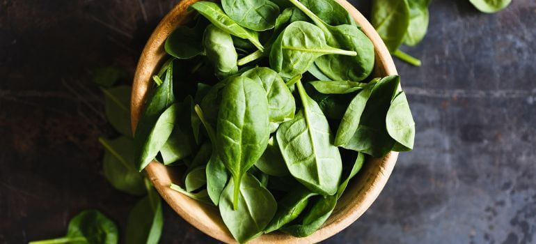 Read more about the article Mexican Basil vs. Thai Basil: A Culinary Showdown