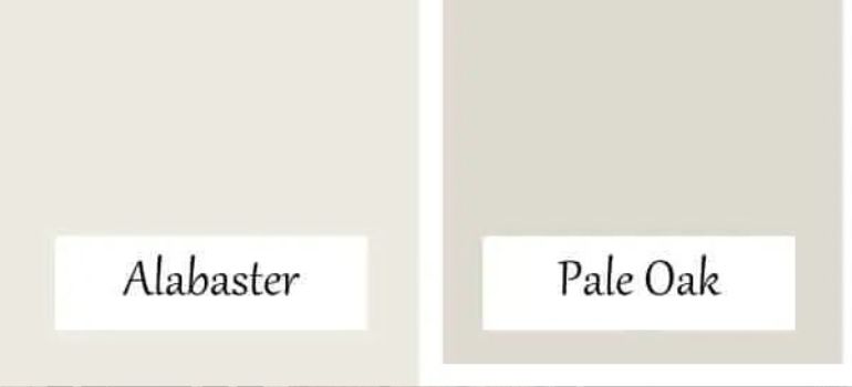 Pale Oak vs Alabaster Choosing the Perfect Paint Colors for Your Home