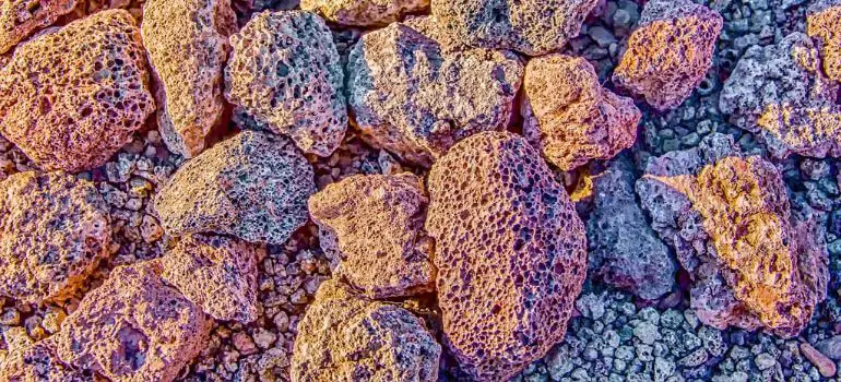 Read more about the article Pumice Stone vs. Lava Rock: Understanding Their Unique Qualities and Uses