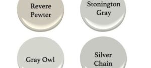 Read more about the article Silver Chain vs. Stonington Gray: Decoding the Perfect Palette