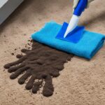 Remove Dried Dog Poop from Carpet – Quick Guide