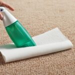 Easily Remove Dried Dog Poop from Carpet