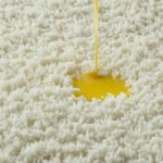 Remove Elmer’s Glue from Carpet – Quick Guide