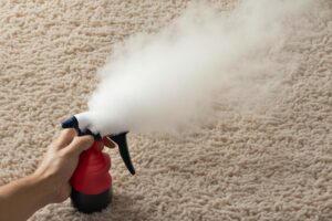 Read more about the article Eliminate Smoke Odor from Carpet Quickly