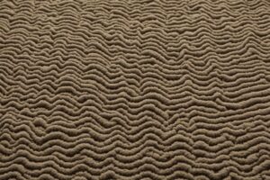 Read more about the article Carpet Rippling Explained: Causes & Solutions