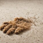 Why Do Dogs Scratch at Carpet? Uncover Reasons!