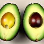 Brogdon Avocado vs Hass: Taste & Texture Compared