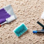 how to clean dried cat poop from carpet
