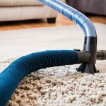 Safe Mice Dropping Cleanup from Carpets