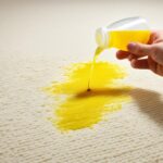 Remove Bile Stains from Carpet Quickly
