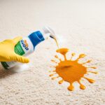 Remove Curry Stains from Carpets Easily!