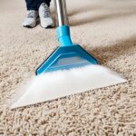 Eradicate Parvo from Carpets: Effective Guide
