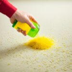 Remove Pollen Stains: Quick Carpet Cleaning Tips