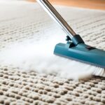 Expert Guide on How to Vacuum Wool Rug Carefully