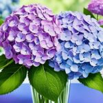 Hydrangea vs Lilac: Compare Blooms & Care Tips