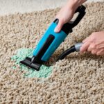 How To Get Kitty Litter Out Of Carpet