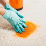 How To Get Pumpkin Out Of Carpet