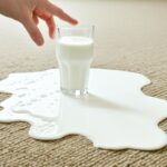 How To Get Soured Milk Out Of Carpet