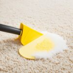 How To Get Yellow Dog Puke Out Of Carpet