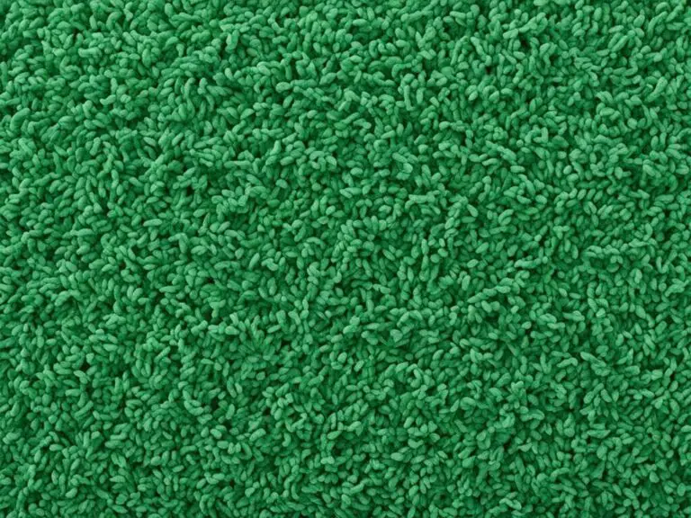 What Is Smartstrand Carpet Made Of